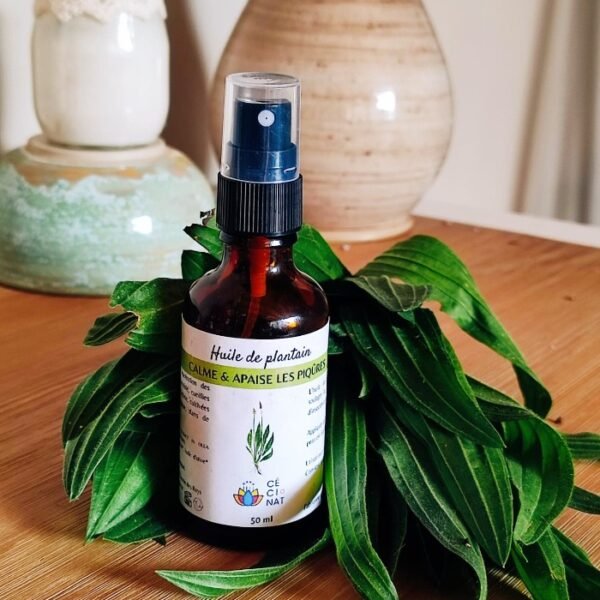 Huile de plantain